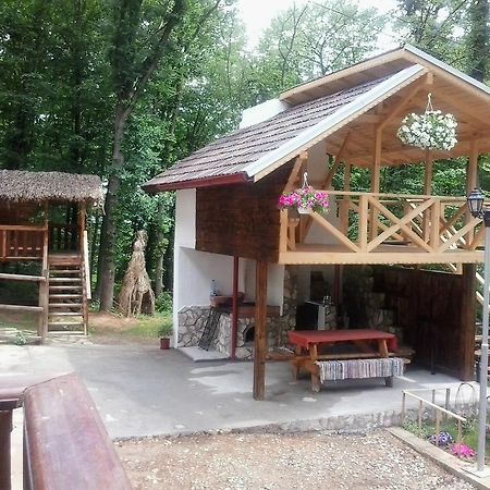 Pensiunea Stejarul Mierea Extérieur photo