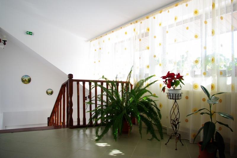 Pensiunea Stejarul Mierea Extérieur photo