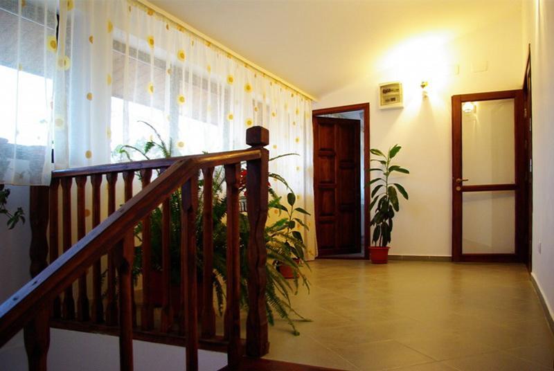 Pensiunea Stejarul Mierea Extérieur photo